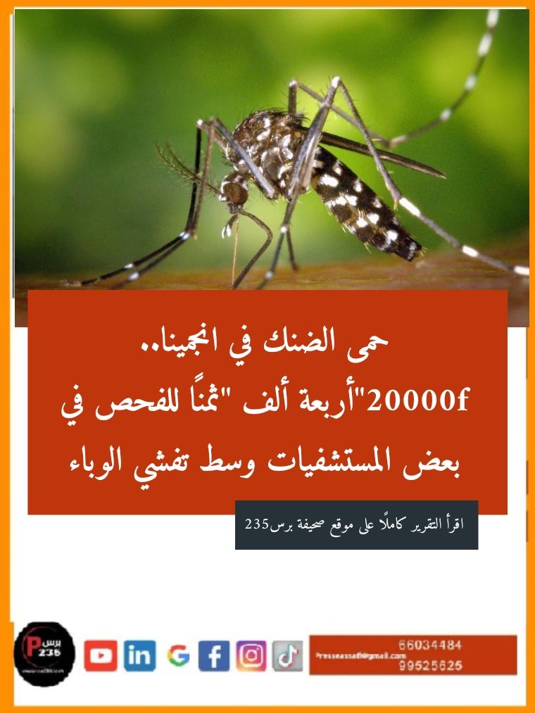 حمى الضنك في انجمينا.. 20 ألف فرنك ثمنًا للفحص في بعض المستشفيات وسط تفشي الوباء